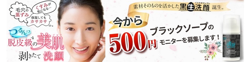 ILCSI�i�C���`�j�̃u���b�N�\�[�v������500�~���j�^�[���T�C�g